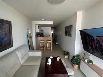 https://web5.gallito.com.uy/alquiler-apartamento-2-dormitorios-cordon-inmuebles-27374406