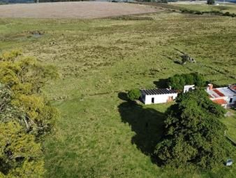 https://www.gallito.com.uy/campo-30-hectareas-ruta-9-alta-productividad-inmuebles-27379518