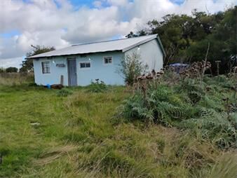 https://www.gallito.com.uy/excepcional-chacra-100-agricola-inmuebles-27437741