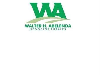 https://web5.gallito.com.uy/excelente-inversion-inmuebles-27441409