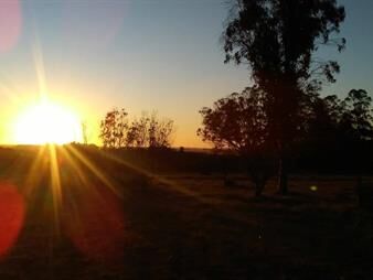 https://www.gallito.com.uy/casa-de-campo-a-13-km-del-mar-y-rocha-ciudad-inmuebles-27477863