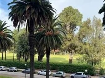 https://www.gallito.com.uy/alquiler-apartamento-punta-carretas-golf-reciclado-a-nuevo-c-inmuebles-27486015