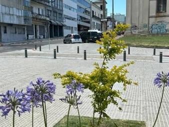 https://www.gallito.com.uy/venta-oficina-ciudad-vieja-vista-al-mar-edificio-pocos-años-inmuebles-27486109