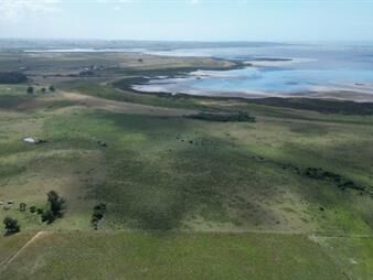 https://www.gallito.com.uy/campo-a-orillas-de-laguna-j-ignacio-apto-para-fraccionar-inmuebles-27493694