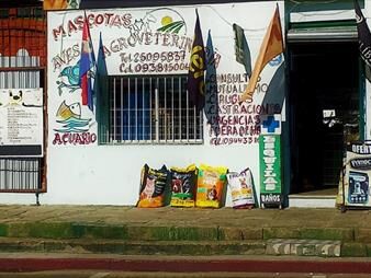 https://web5.gallito.com.uy/venta-de-llaves-de-veterinaria-totalmente-equipada-en-malvin-inmuebles-27543930