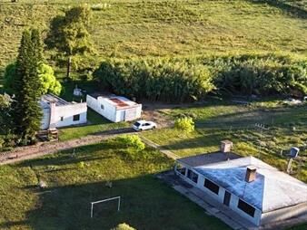 https://www.gallito.com.uy/campo-entre-tala-y-migues-canelones-4-hectareas-2-casas-inmuebles-27544345