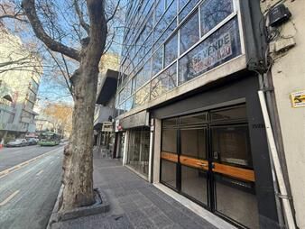https://www.gallito.com.uy/baldovino-alq-apto-san-jose-1079203-centro-inmuebles-27596752