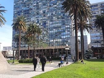 https://web5.gallito.com.uy/edif-ciudadela-102-mtsoficin-frente-a-plaza-0992376933-2-b-inmuebles-27674238