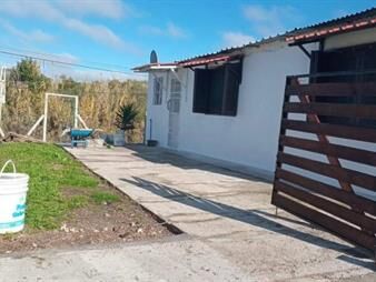 https://www.gallito.com.uy/se-alquila-casa-de-2-dorm-camino-la-paz-mendoza-abayuba-inmuebles-27649992