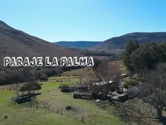 https://www.gallito.com.uy/campo-en-venta-paraje-la-palma-494-h-tierra-fertil-inmuebles-27683804