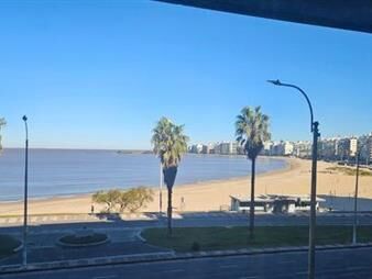 https://web5.gallito.com.uy/alquila-apartamento-frente-a-la-mejor-parte-de-playa-pocitos-inmuebles-27695802