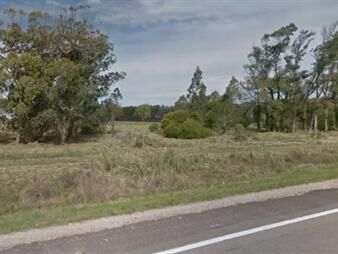 https://www.gallito.com.uy/campo-en-rocha-frente-a-ruta-9-al-sur-inmuebles-27703448