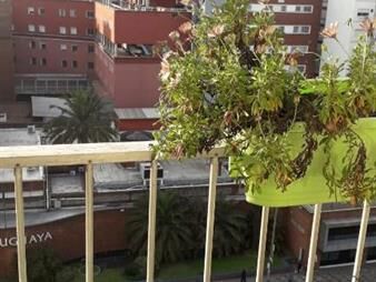 https://www.gallito.com.uy/dueño-vende-inmuebles-27703560