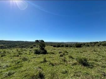 https://www.gallito.com.uy/venta-chacra-de-5-hectareas-en-pueblo-eden-inmuebles-27716850