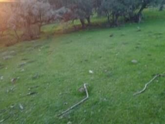 https://web5.gallito.com.uy/dueña-vende-dos-fracciones-de-48-y-61hasen-treinta-y-tres-inmuebles-27756238