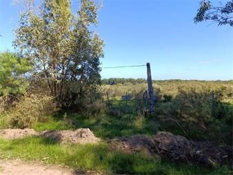 https://www.gallito.com.uy/campo-en-araminda-24-hectareas-inmuebles-27808189