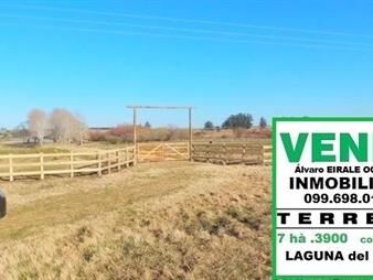 https://www.gallito.com.uy/-laguna-del-sauce-terreno-73900-m2-con-costa-inmuebles-26307634