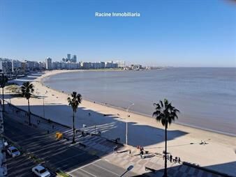 https://www.gallito.com.uy/alquiler-apartamento-frente-al-mar-pocitos-2-dormitorios-inmuebles-27826892