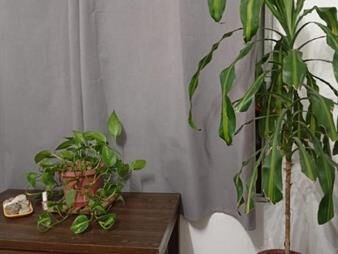 https://www.gallito.com.uy/venta-apartamento-muy-bien-ubicado-inmuebles-27849995