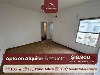 https://www.gallito.com.uy/apartamento-alquiler-1-dormitorio-en-reducto-1er-piso-inmuebles-27870251