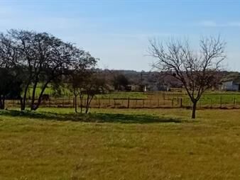 https://www.gallito.com.uy/venta-terrenos-25-de-agosto-florida-inmuebles-27892276