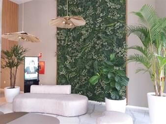 https://www.gallito.com.uy/alquilo-hermoso-apartamento-inmuebles-27897305