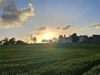 https://web5.gallito.com.uy/venta-de-campo-en-san-ramon-canelones-inmuebles-27907146