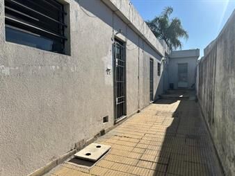 https://www.gallito.com.uy/apartamento-en-alquiler-en-perez-castellanos-de-1-dormitorio-inmuebles-27914544