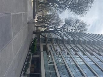 https://www.gallito.com.uy/edificio-estrellas-del-sur-apto-2-dormitorios-y-garaje-inmuebles-27922378