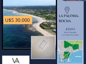 https://www.gallito.com.uy/dueña-venve-terreno-en-la-paloma-inmuebles-27946367
