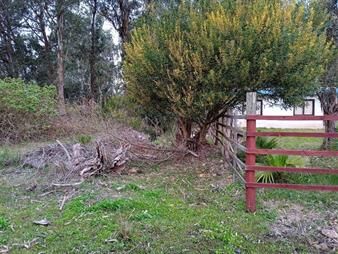 https://web5.gallito.com.uy/a-2-cuadras-de-la-playa-terreno-en-palmares-de-la-coronilla-inmuebles-27981214