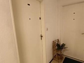 https://www.gallito.com.uy/alquiler-imperdible-mono-ambiente-bg-cordon-inmuebles-27985256