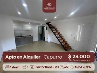 https://www.gallito.com.uy/apartamento-en-alquiler-en-capurro-al-frente-inmuebles-27990121