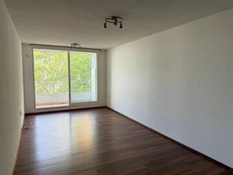 https://www.gallito.com.uy/alquiler-apartamento-1-dormitorio-cordon-inmuebles-28010424
