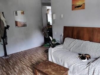 https://web5.gallito.com.uy/inversion-perfecta-amplia-casa-en-pocitos-a-un-precio-inmuebles-28046367