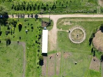 https://www.gallito.com.uy/venta-campo-en-los-cerrillos-con-33-ha-ic-233-inmuebles-28049130