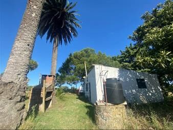 https://www.gallito.com.uy/chacra-de-casi-1-hectarea-a-5km-de-sauce-inmuebles-28049317