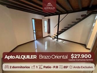 https://www.gallito.com.uy/apartamento-en-alquiler-en-brazo-oriental-con-terraza-inmuebles-28076594
