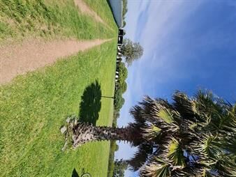 https://www.gallito.com.uy/venta-de-hectarea-con-fabrica-y-casa-de-campo-inmuebles-28077794