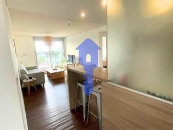 https://web5.gallito.com.uy/alquiler-2-dormitorios-con-balcon-la-blanqueada-inmuebles-28098383