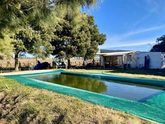 https://web5.gallito.com.uy/campo-16-hascasaapartamentodeposito-piscina-climatizada-inmuebles-28145773