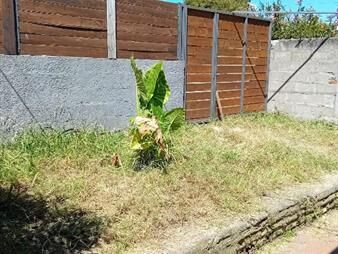 https://web5.gallito.com.uy/con-jardin-a-metros-de-con-carrasco-inmuebles-28229349
