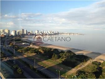 https://web5.gallito.com.uy/apartamento-en-primera-linea-de-playa-mansa-inmuebles-18410635