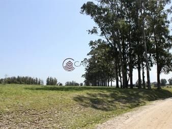 https://www.gallito.com.uy/terreno-en-venta-zona-barra-inmuebles-20001012