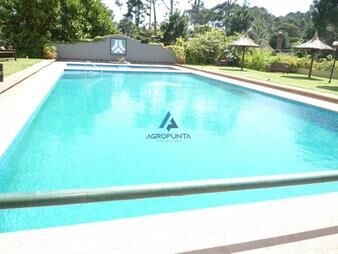 https://www.gallito.com.uy/apartamento-en-roosevelt-1-dormitorios-inmuebles-17596982