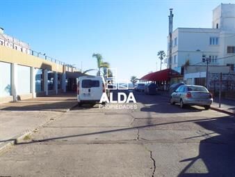 https://www.gallito.com.uy/local-comercial-en-centro-local-comercial-trapani-ref-lo1-inmuebles-20482710
