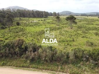 https://www.gallito.com.uy/chacra-en-punta-negra-ref-ch201750-inmuebles-20578455