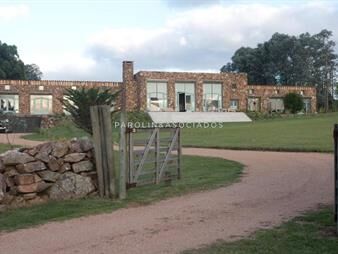 https://web5.gallito.com.uy/chacra-5-hectareas-en-jose-ignacio-punta-del-este-inmuebles-20745752