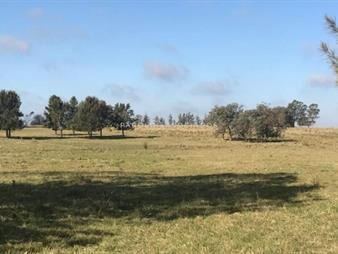 https://www.gallito.com.uy/chacra-5-hectareas-en-haras-de-medellin-punta-del-este-inmuebles-20823392