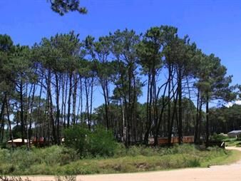 https://web5.gallito.com.uy/venta-de-lote-en-barrio-privado-laguna-blanca-la-barra-inmuebles-19957284